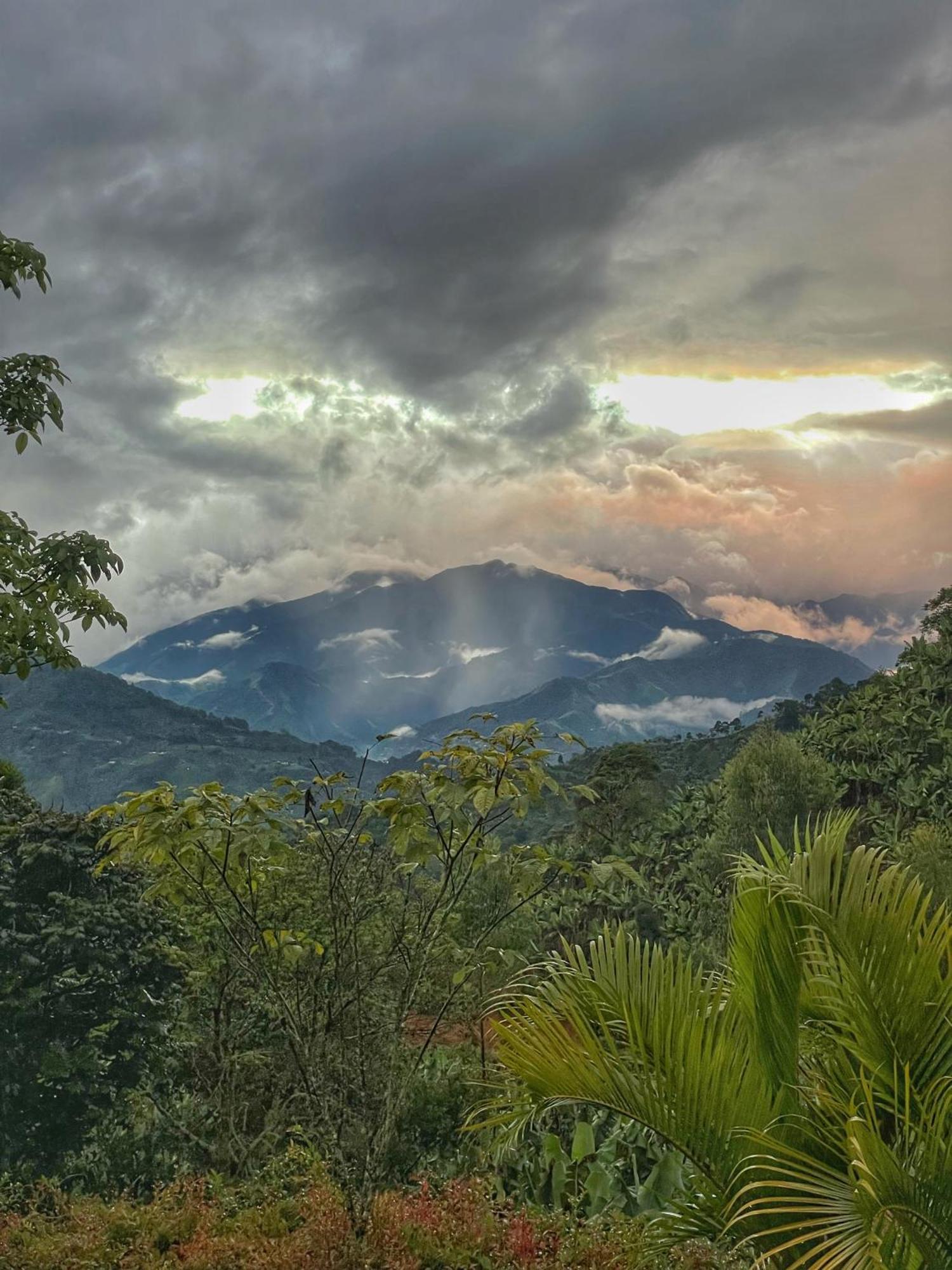 Gulupa Ecolodge คาร์ดิน ภายนอก รูปภาพ